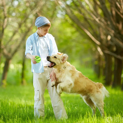 Interactive Rubber Pet Dog Toy